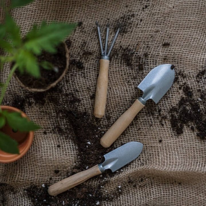 gardening-tools.jpg